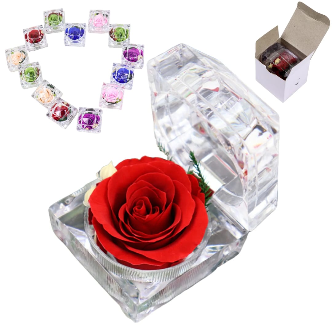 Rose Preserved